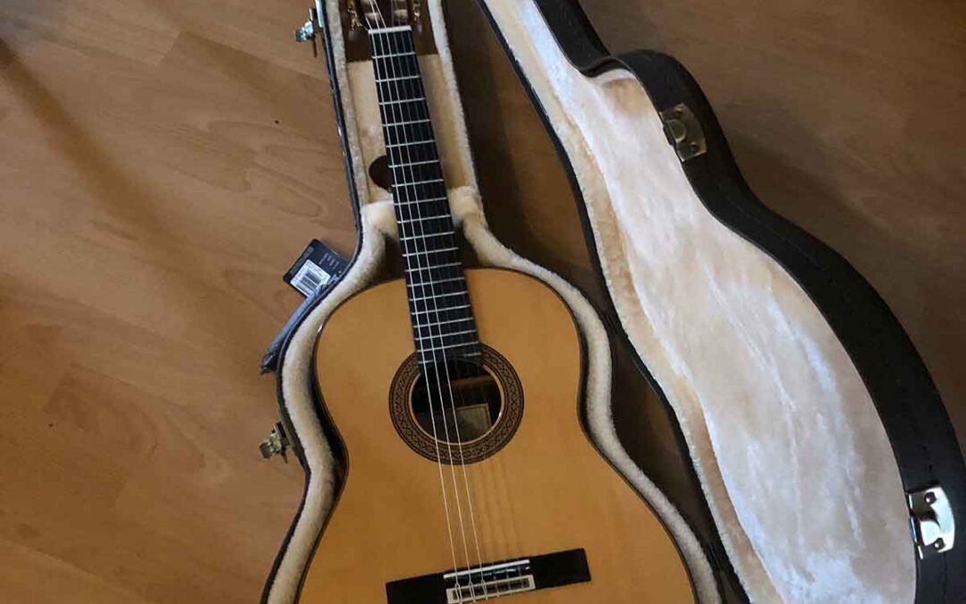 Die neue Konzertgitarre